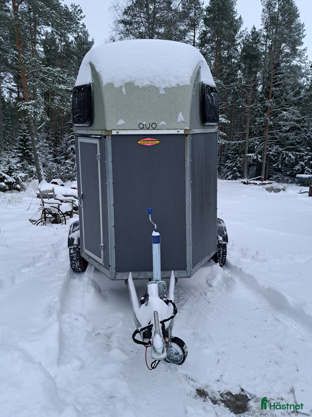 Hästtransporter  fordon & transport till salu: Böckmann  i Nordmaling - Annons 1