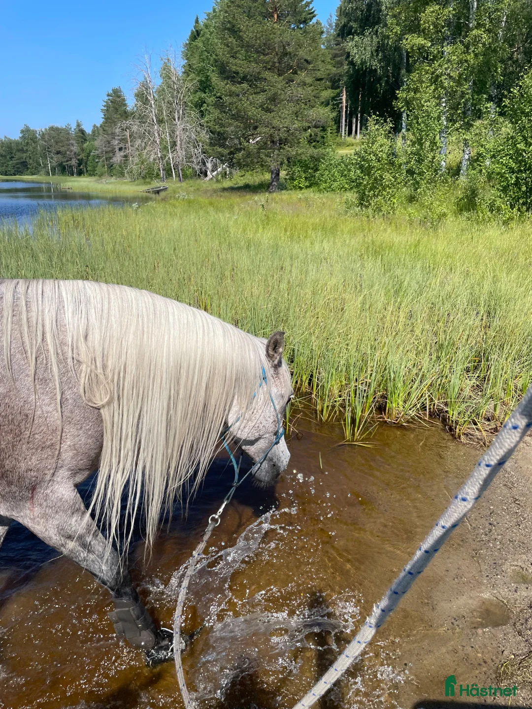  stallplats finnes: Bete, helinackordering möjlig - Annons 4