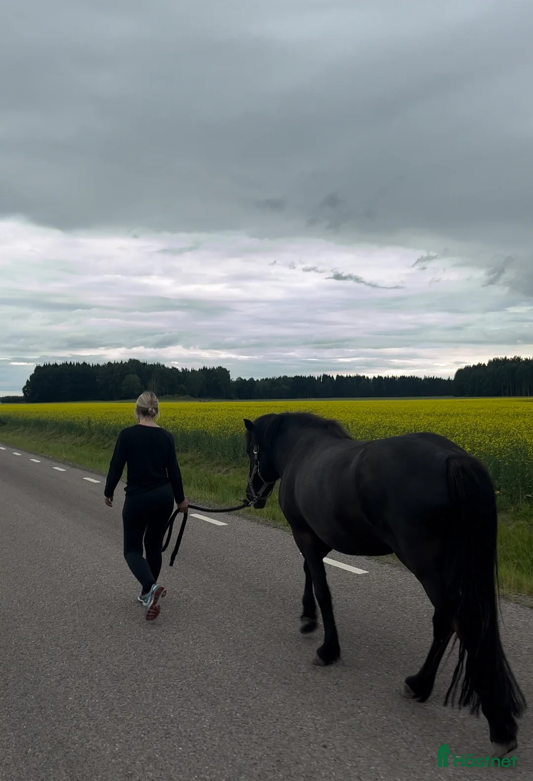 Galleribild {{count}}