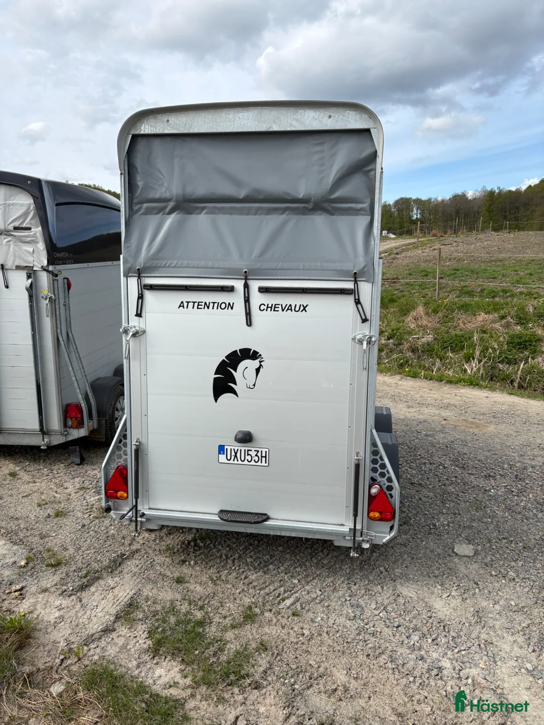 Hästtransporter  fordon & transport till salu: Chevale Liberte Touring One - Annons 5