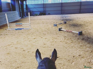 stallplats Stallplats Västerås, Badelunda i Västerås - Annons 18