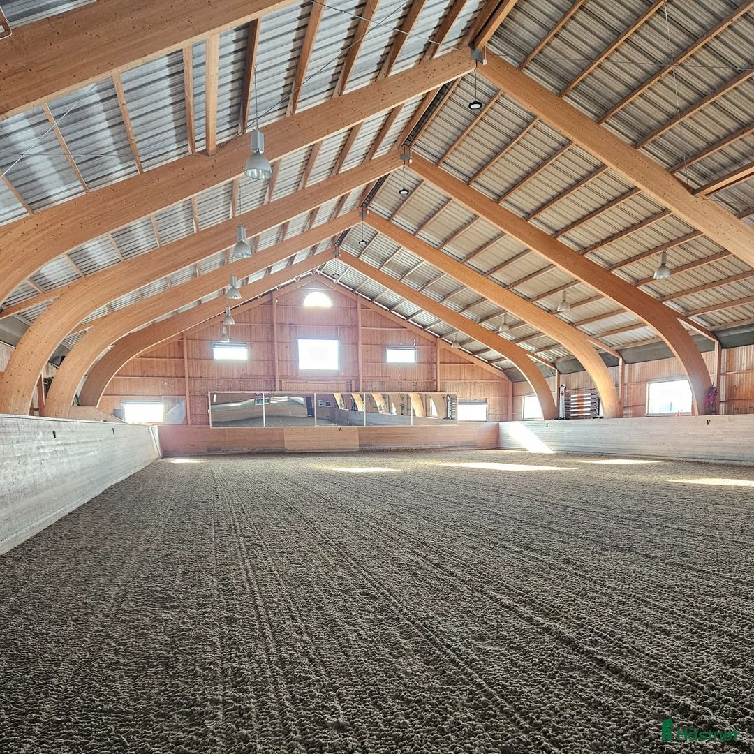  stallplats finnes: Tillfälle Ledig box på Tuthammarens Ridcenter  i Storvreta - Annons 1