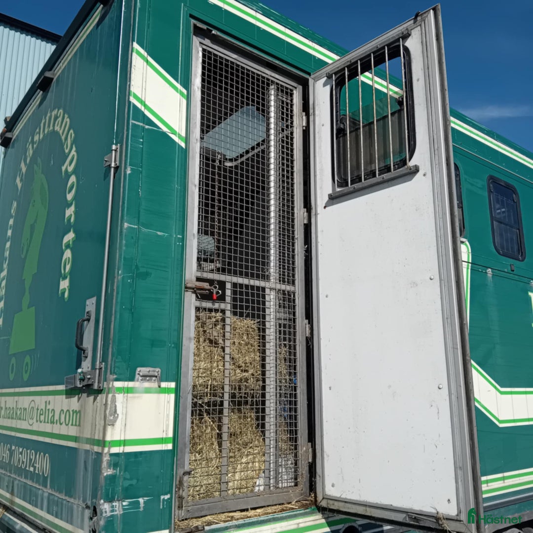 Hästlastbilar  fordon & transport till salu: Scania med flexibel inredning  i Teckomatorp - Annons 6