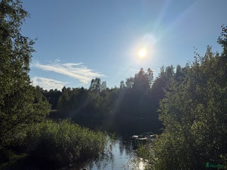 hästar Söker en ny kompis! i Hallsberg - Annons 3