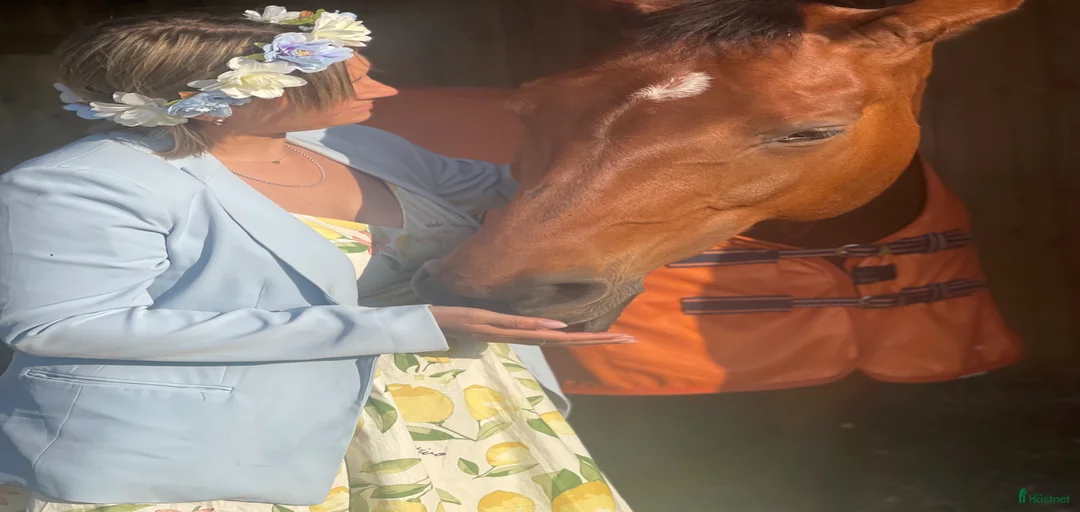 Galleribild {{count}}