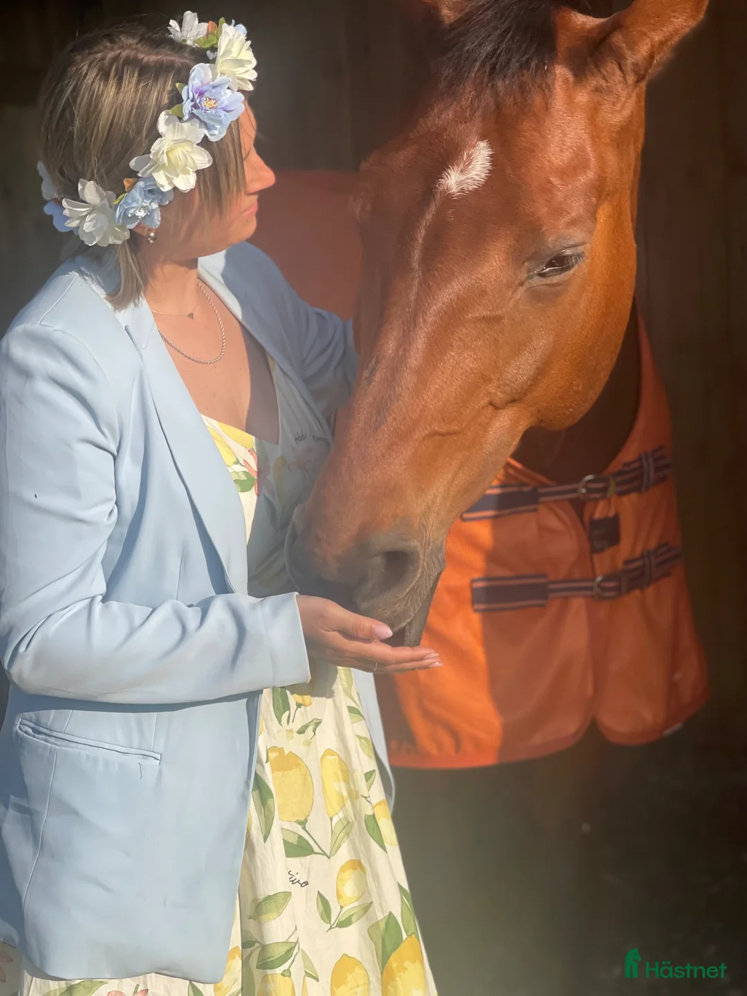 Galleribild {{count}}