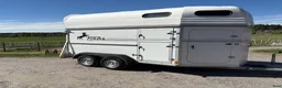 Hästtransporter  fordon & transport till salu: Forzab Cavallo SEH 20 - Annons 1