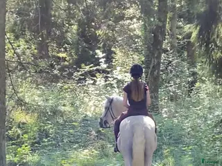 hästar Trygg allroundkompis sökes i Torslanda - Annons 17