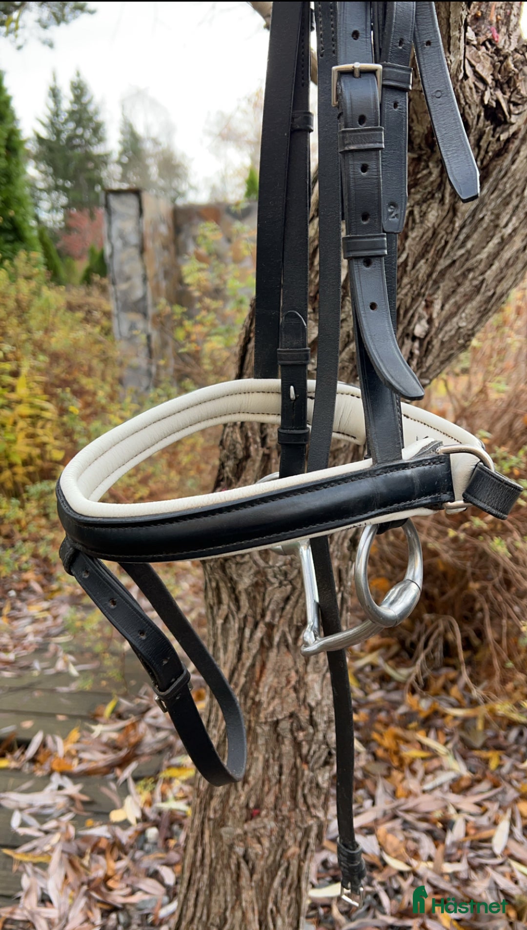 Träns hästutrustning till salu: Otto Schumacher träns i Vallentuna - Annons 3