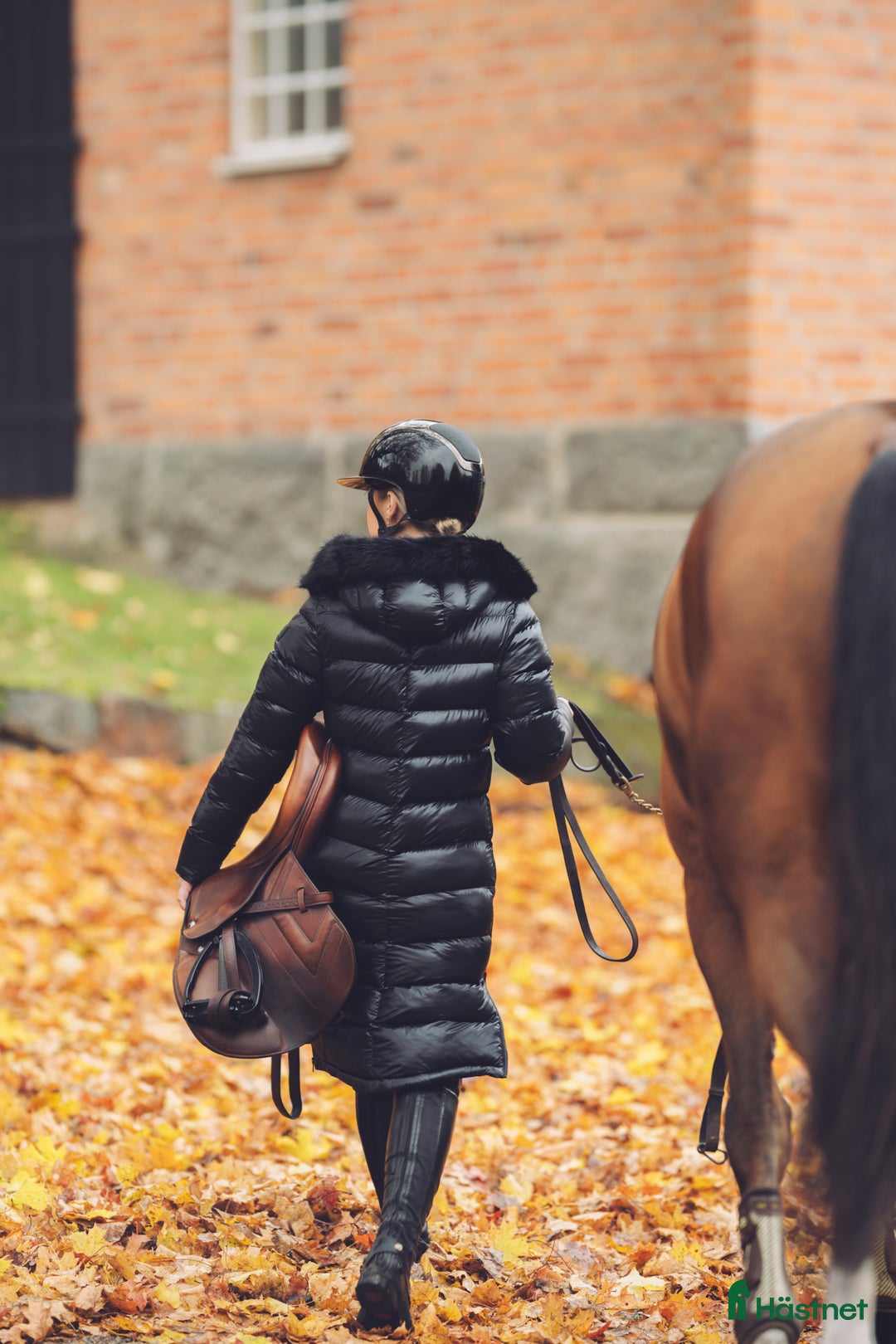 Jackor & Kavajer ryttarutrustning till salu: Vinterjacka i Stockholm - Annons 2