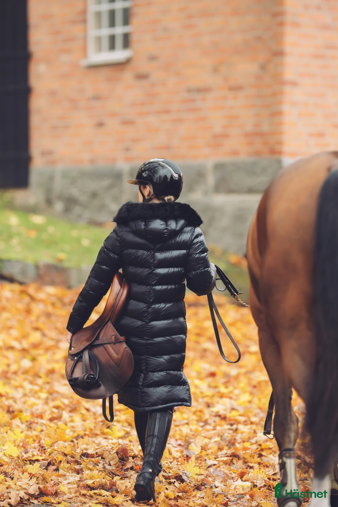 Jackor & Kavajer ryttarutrustning till salu: Vinterjacka i Stockholm - Annons 2