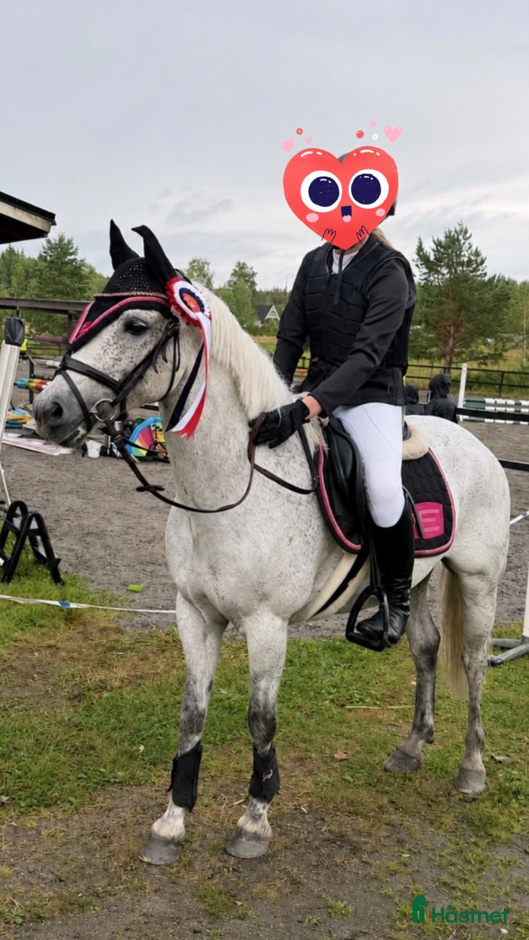  hästar Välriden C-ponny valack  - Annons 12