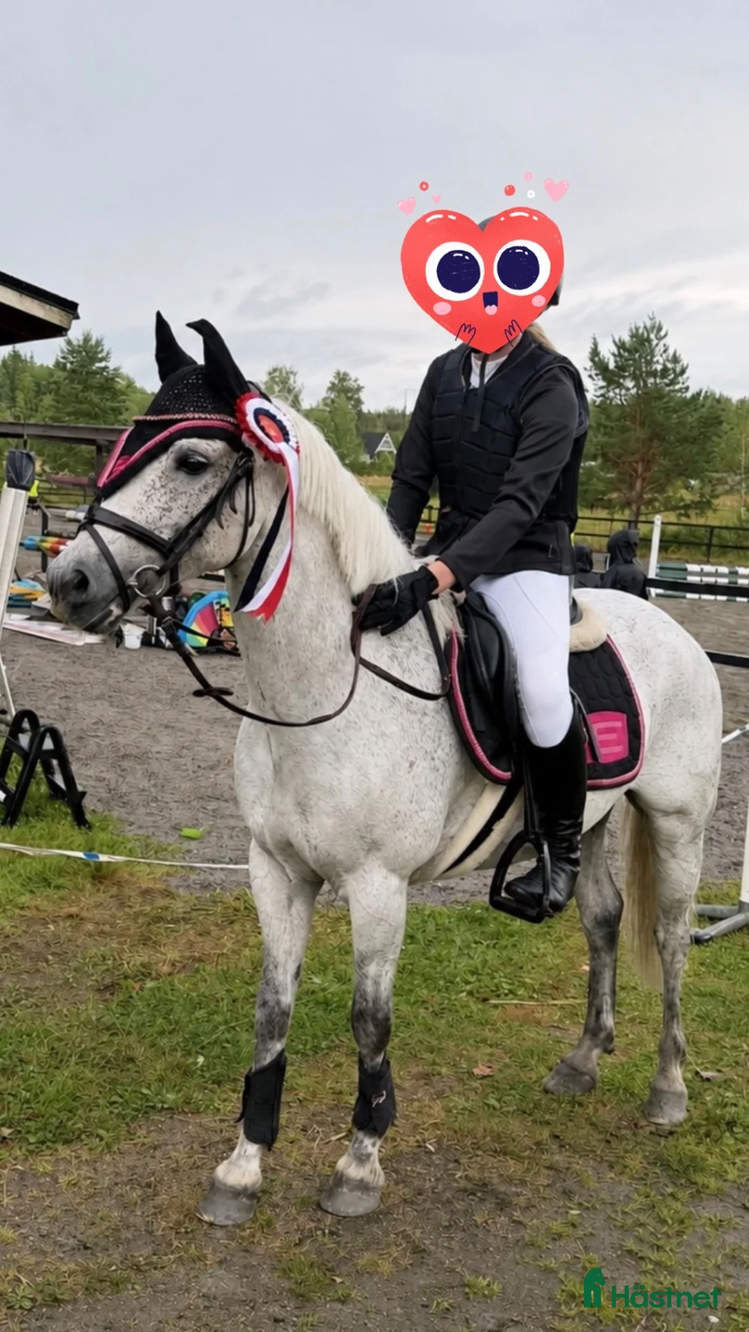Allround hästar till salu: Välriden C-ponny valack  - Annons 1