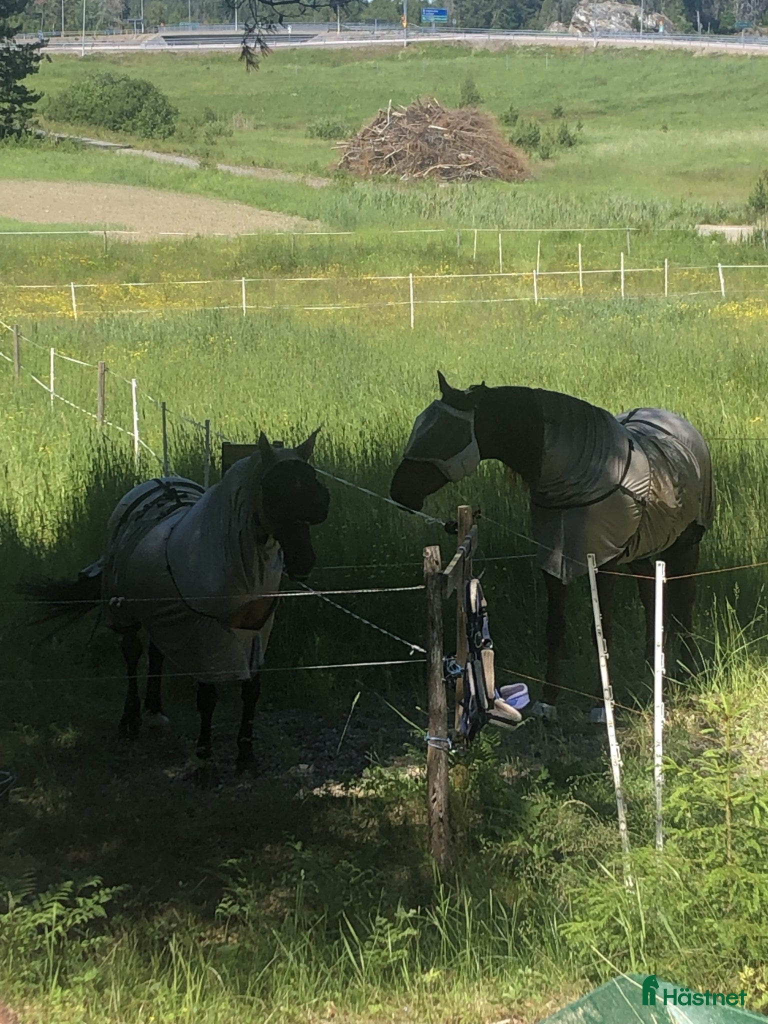  stallplats Bete finnes till dig som önskar resa bort i sommar - Annons 16