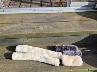 Övrig Hästutrustning hästutrustning till salu: Grått och vitt fluff i Dingle - Annons 11