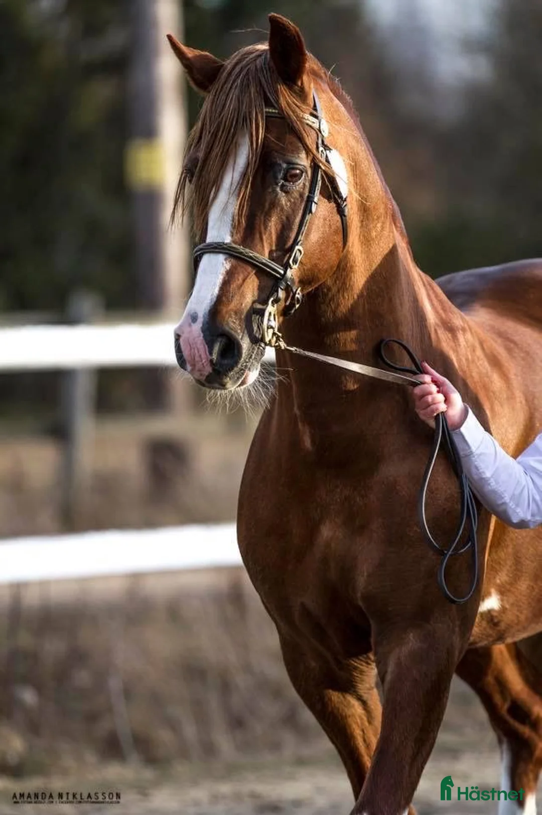 Galleribild {{count}}