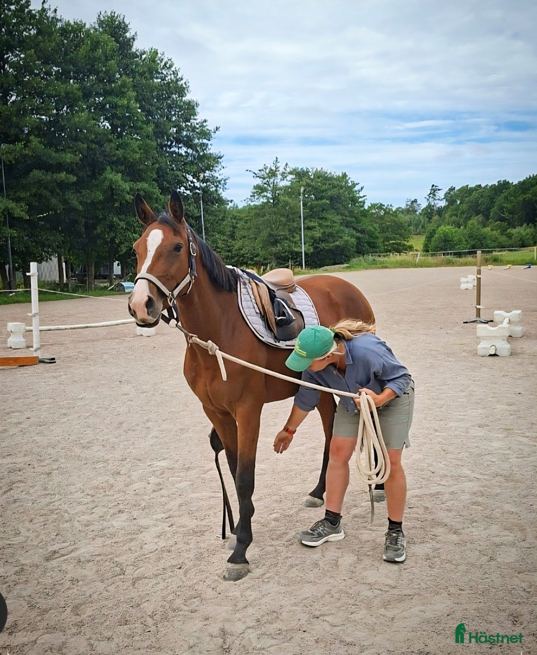 Hoppning hästar till salu: Elegant treårssto e: Crusader Ice i Uddevalla - Annons 4