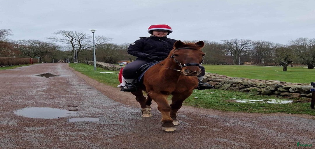 Galleribild {{count}}