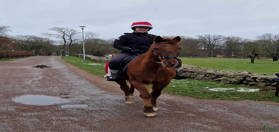 Galleribild {{count}}