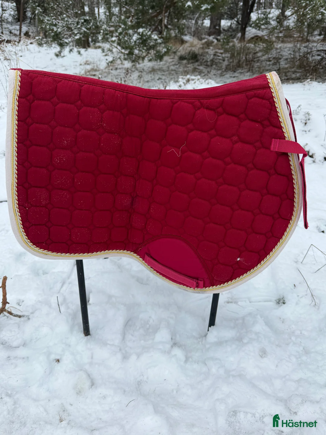 Övrig Hästutrustning hästutrustning till salu: Matchande rött set – schabrak & boots i Värmdö - Annons 2
