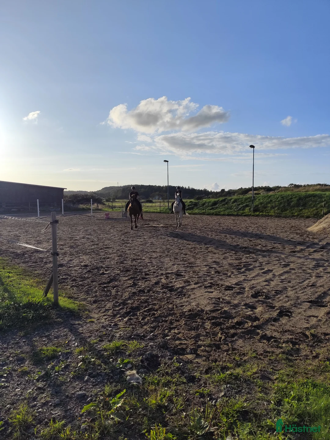  stallplats finnes: Stallplats Kode i Kode - Annons 5