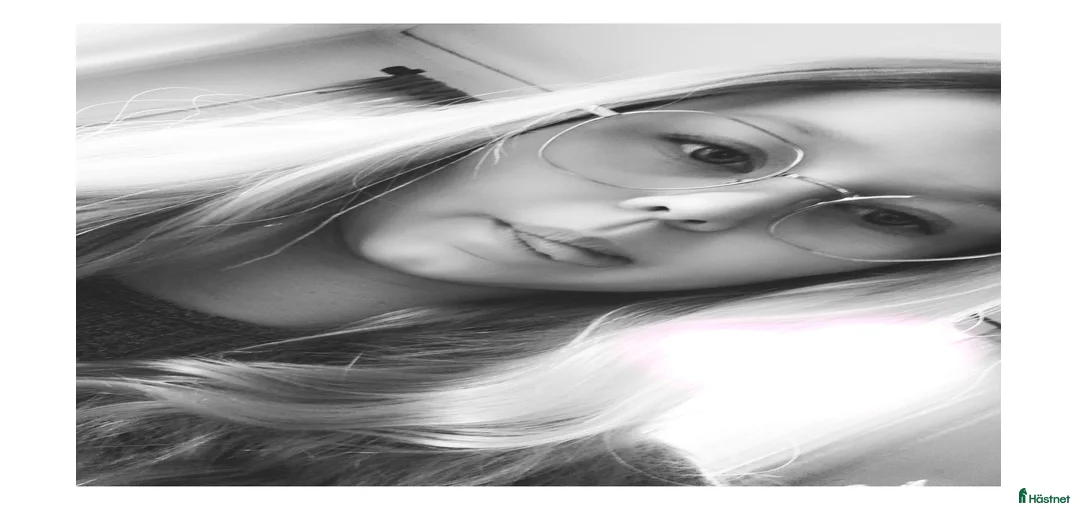 Galleribild {{count}}