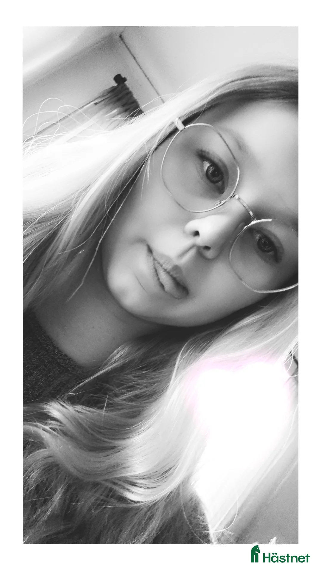 Galleribild {{count}}