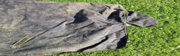 Täcken hästutrustning till salu: Bucas Irish Turnout Light 50g 145cm - Annons 5