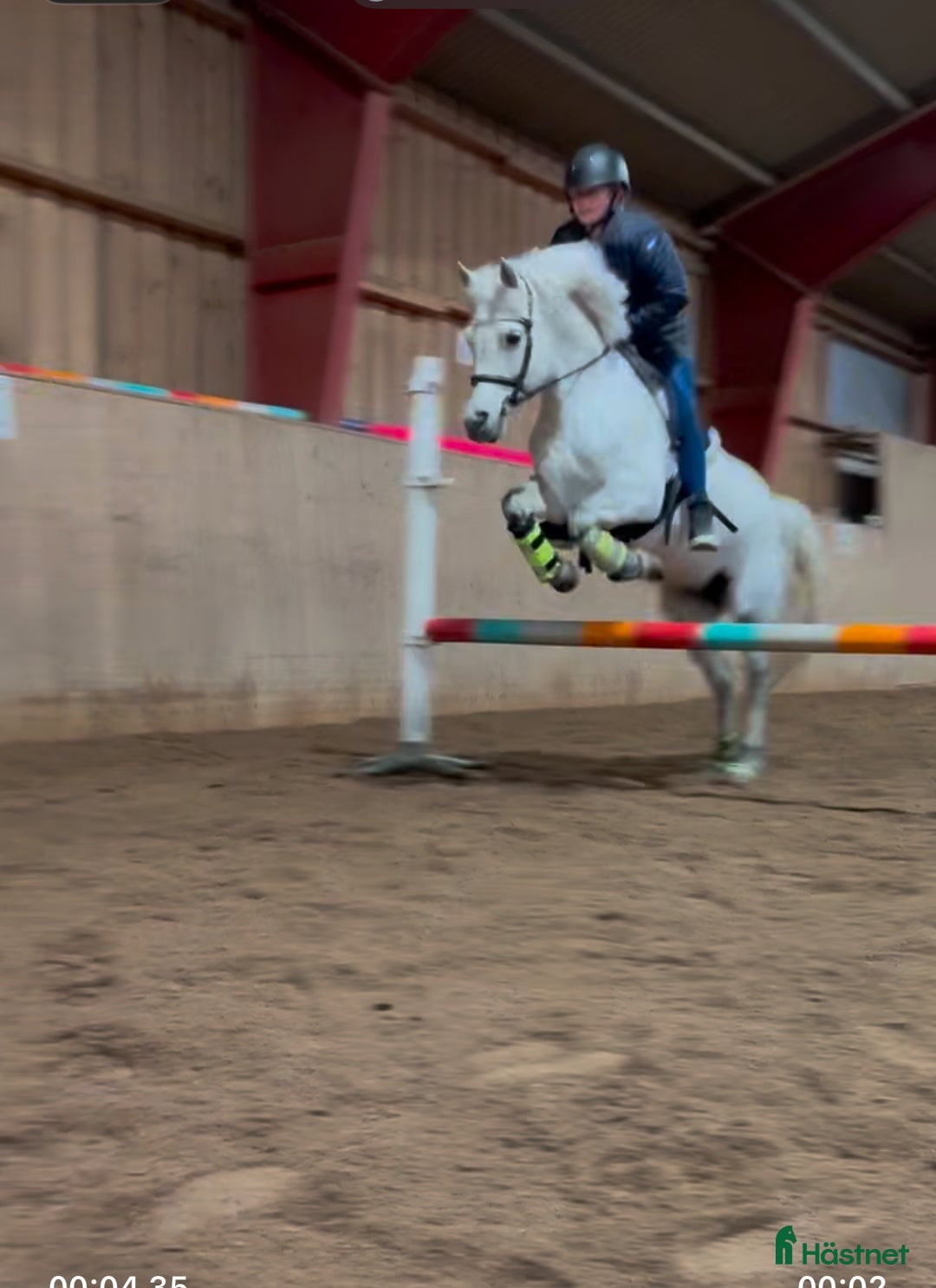  foderhäst sökes: Fodervärden/medryttare  - Annons 2