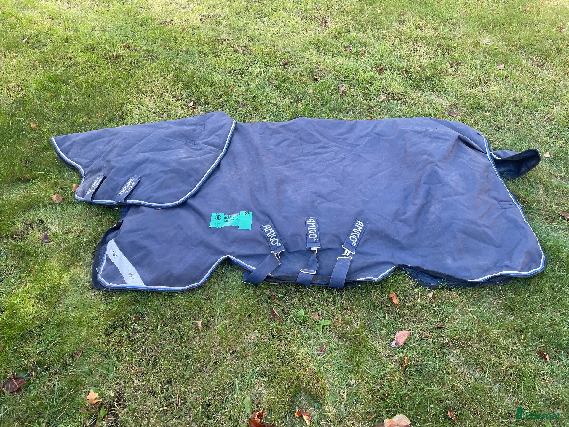 Täcken hästutrustning Amigo Bravo 400g - Annons 6