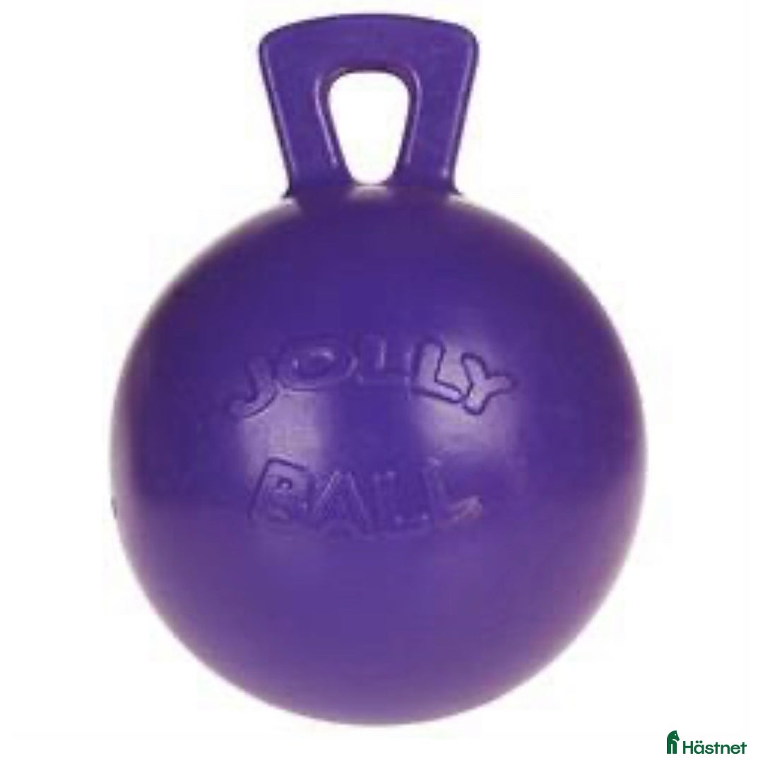 Stallinredning, stängsel & gård övrig utrustning till salu: Leksak Jolly Ball i Täby - Annons 1