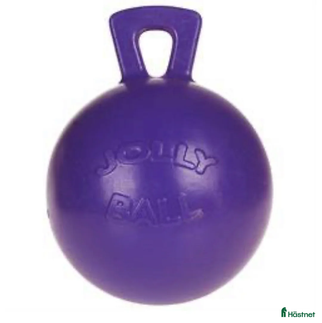 Stallinredning, stängsel & gård övrig utrustning till salu: Leksak Jolly Ball i Täby - Annons 1