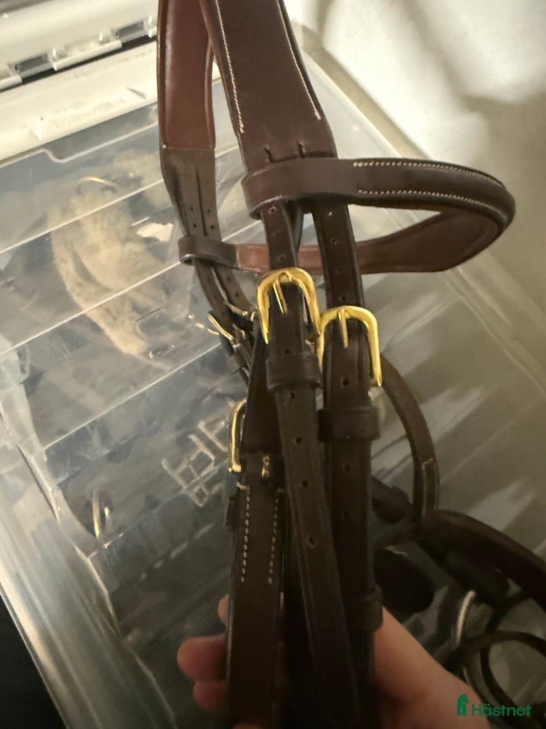 Träns hästutrustning till salu: Superfint Dyon träns! i Höllviken - Annons 10