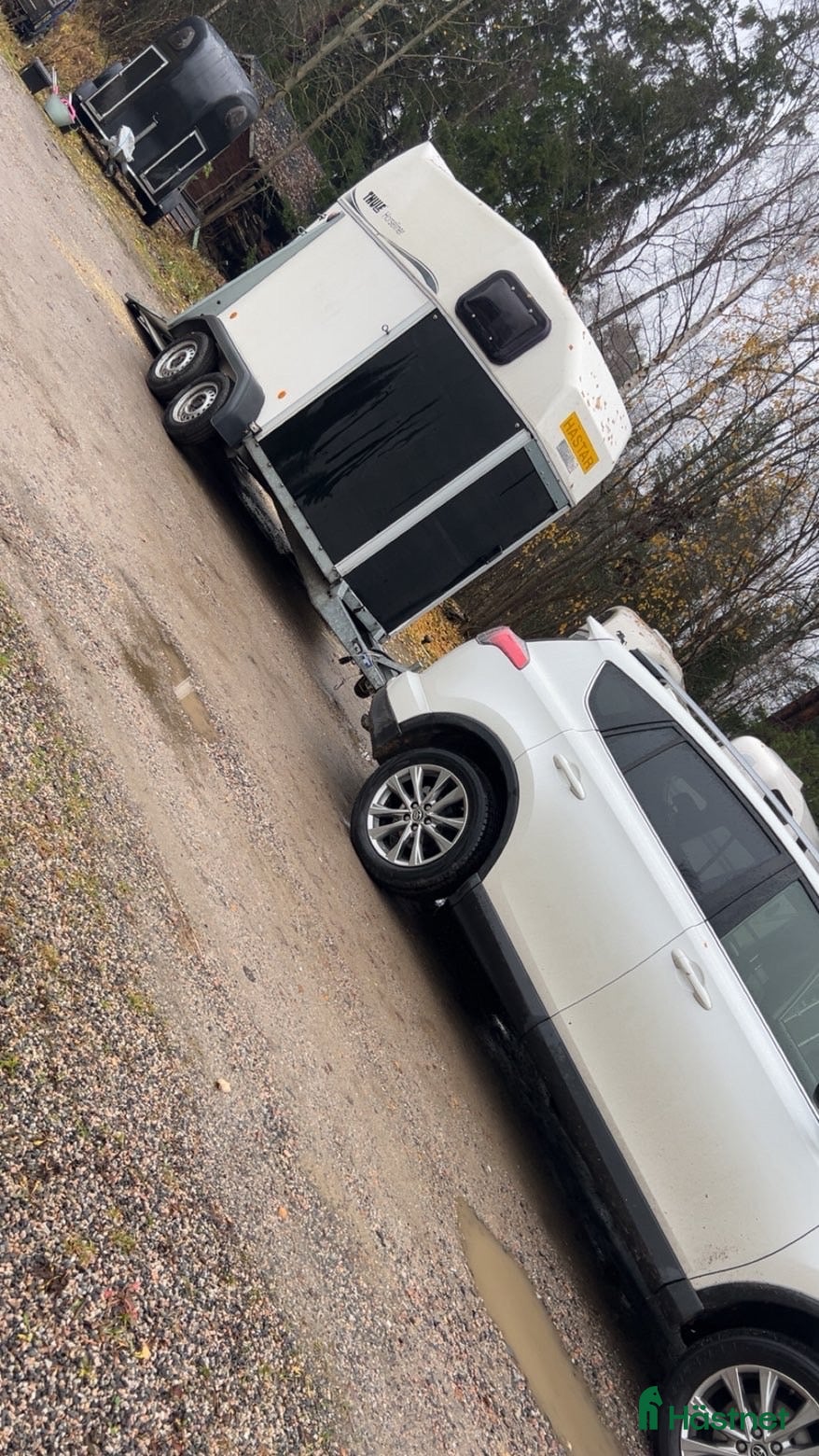Hästtransporter  fordon & transport till salu: Thule Horseliner -12 i Sundsvall - Annons 13