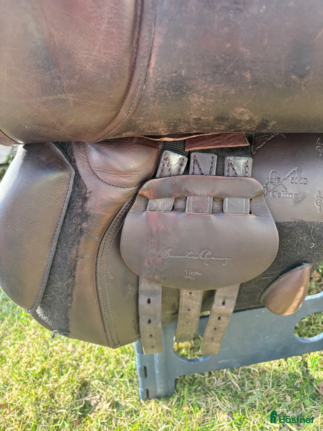 Sadlar hästutrustning till salu: Santa Cruz Celine UG - Annons 5