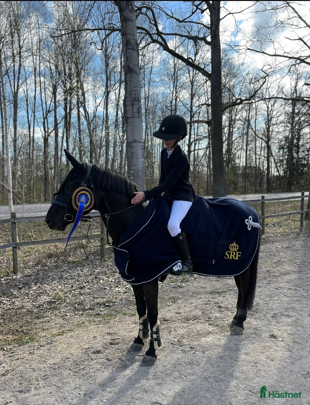 Hoppning hästar till salu: Fantastisk läromästare 🩵😇💫 i Åkersberga - Annons 4