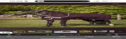 Täcken hästutrustning till salu: Horseware utetäcken - Annons 6
