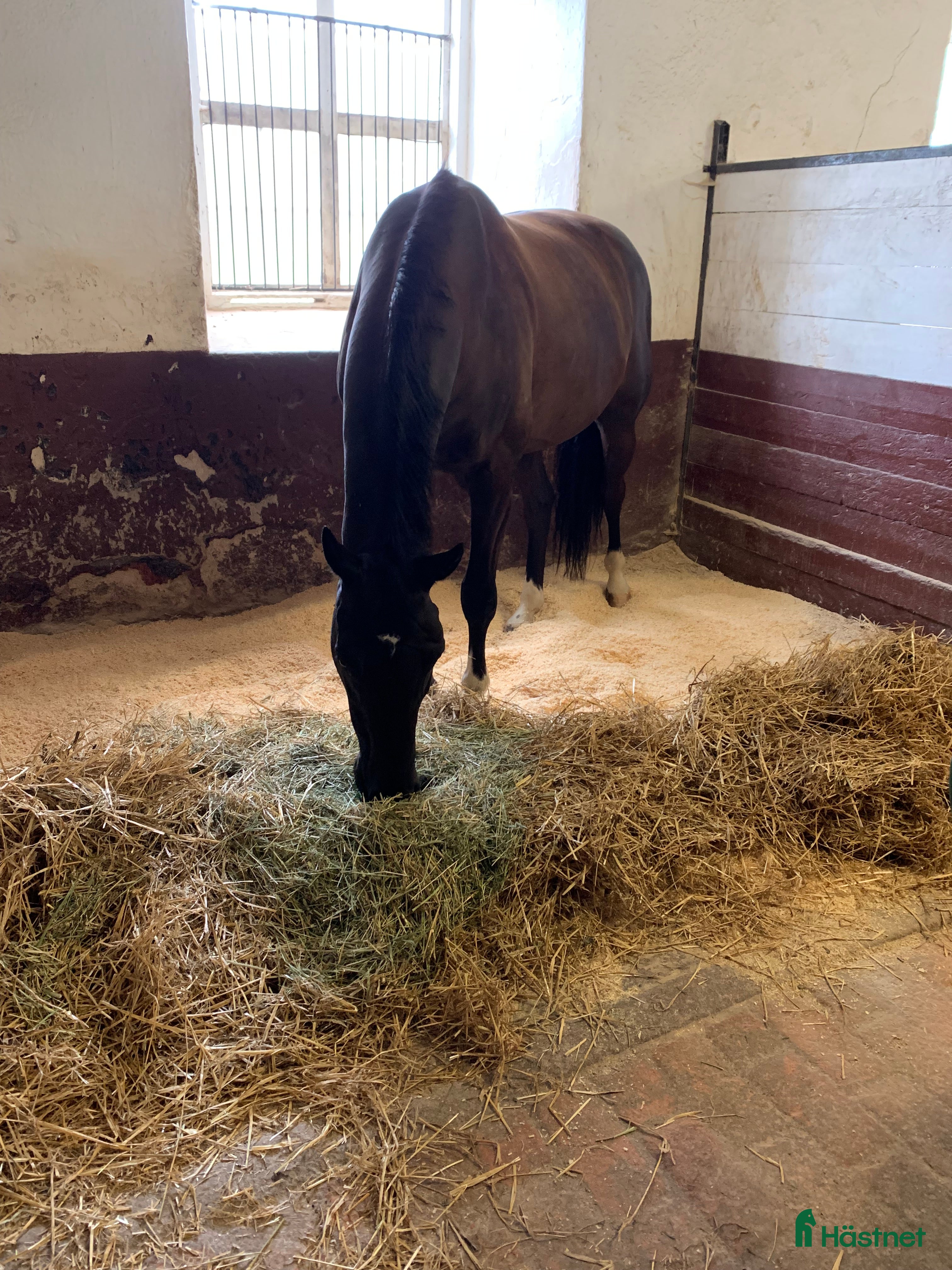  stallplats Stallplats finns i Rasbo i Uppsala - Annons 3