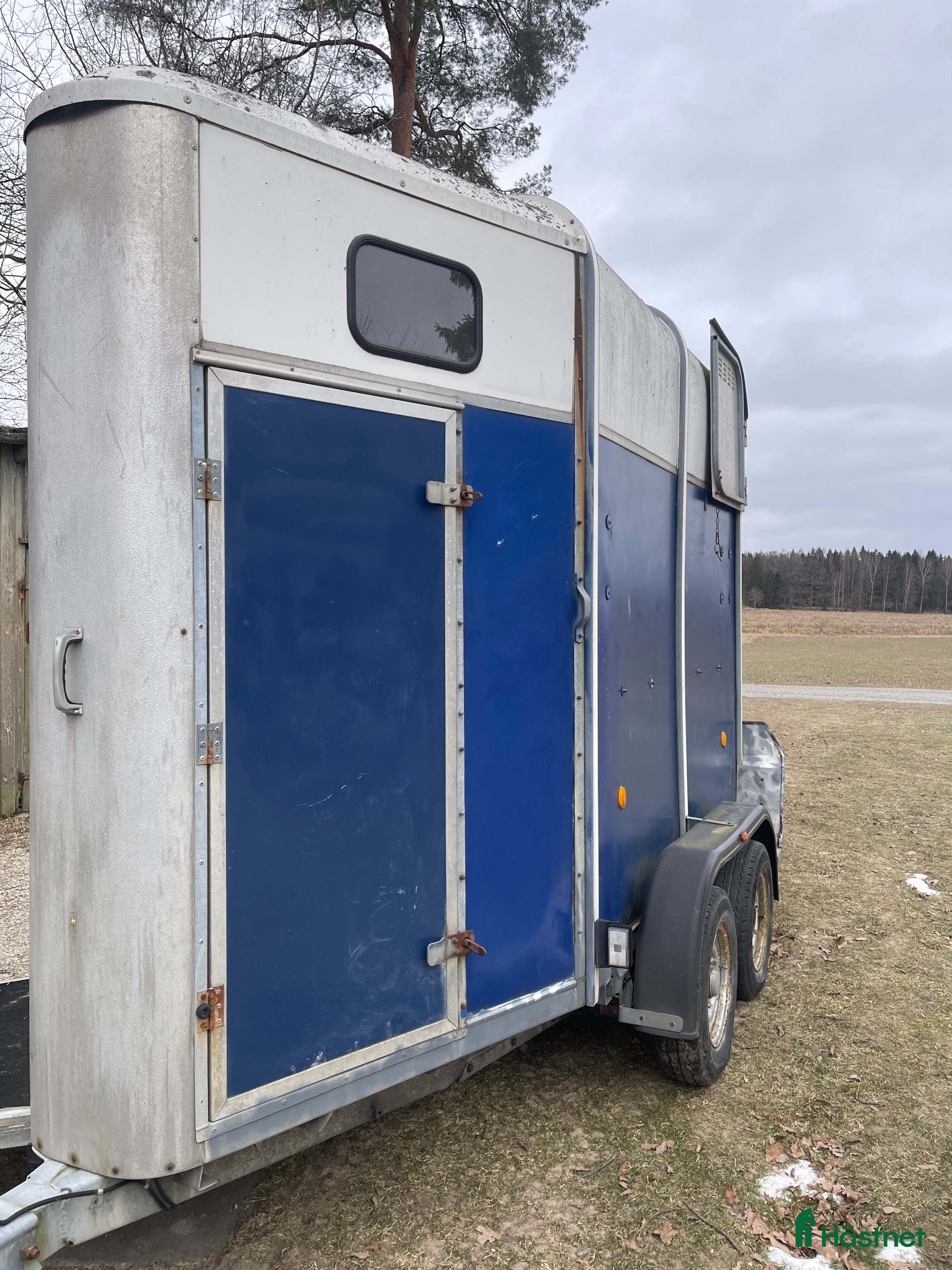 Hästtransporter  fordon & transport till salu: Söker Ifor Williams 2 hästar i Trollhättan - Annons 1