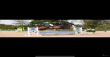  hästar i Äng - Annons 1