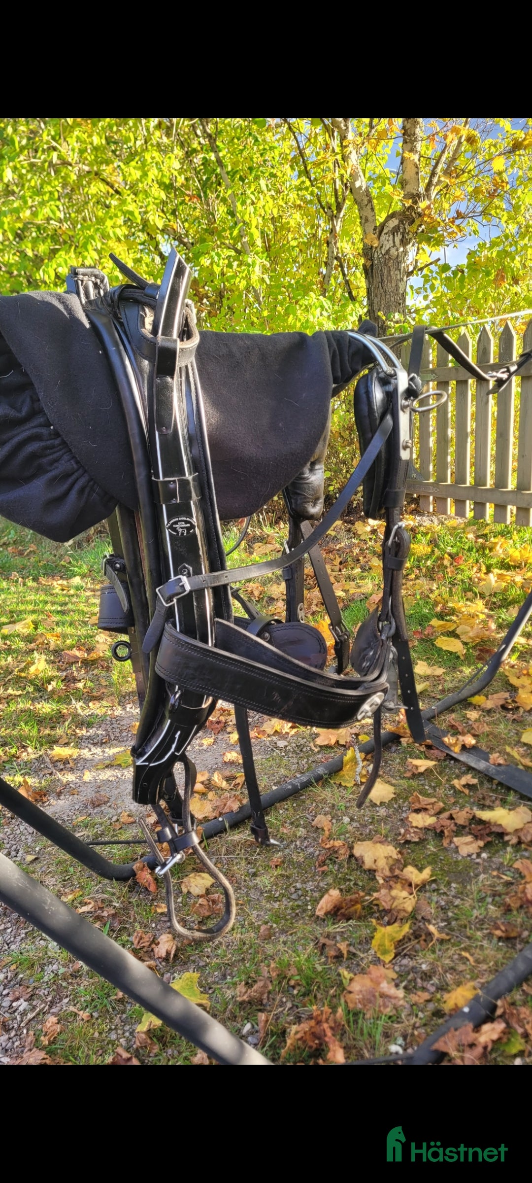 Övrig Hästutrustning hästutrustning till salu: Ylanders Loksele + bjällerbrösta i Kil - Annons 12