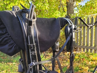 Övrig Hästutrustning hästutrustning till salu: Ylanders Loksele + bjällerbrösta i Kil - Annons 2