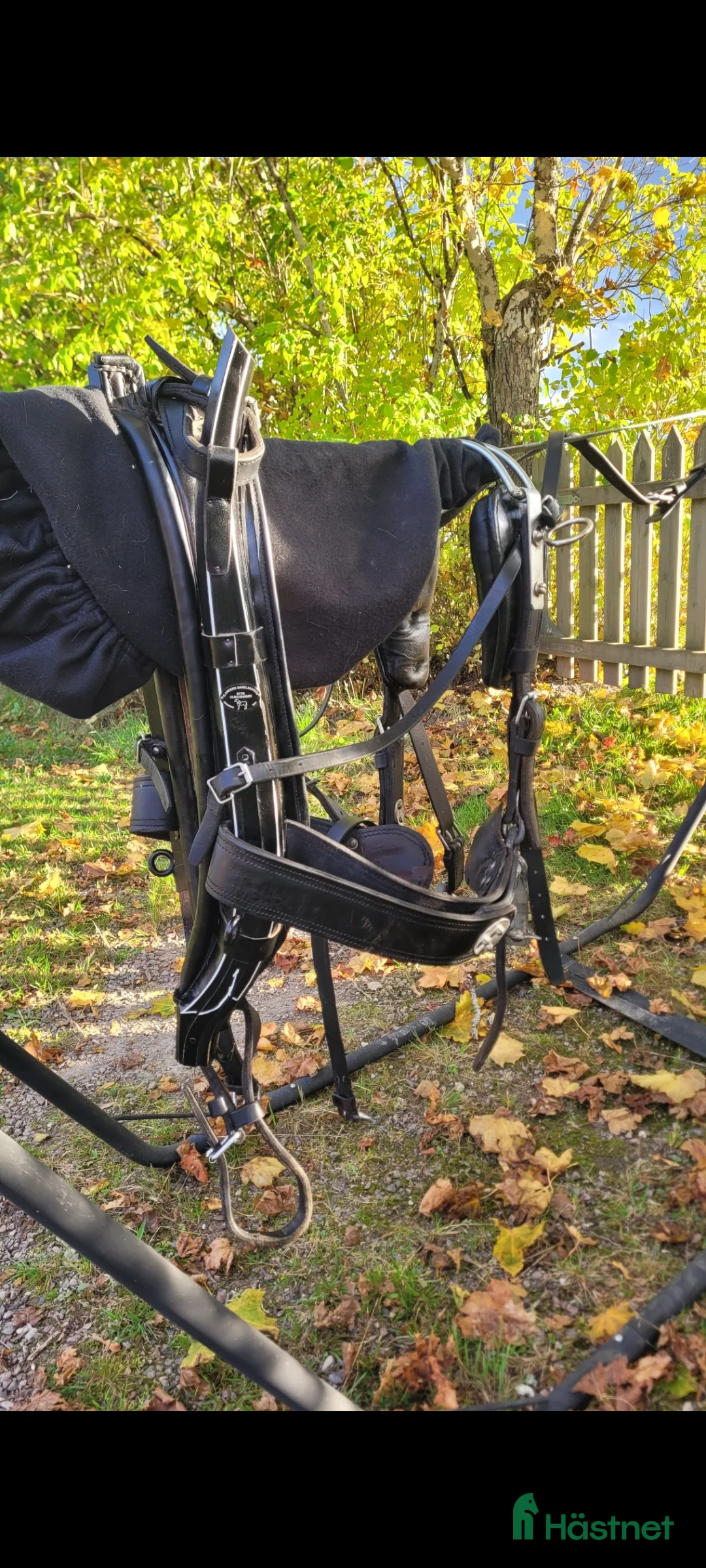 Övrig Hästutrustning hästutrustning till salu: Ylanders Loksele + bjällerbrösta i Kil - Annons 1