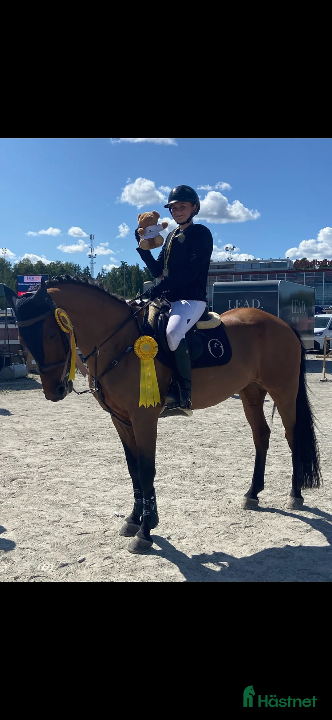 Hoppning hästar till salu: Tävlingsponny i Klagstorp - Annons 1