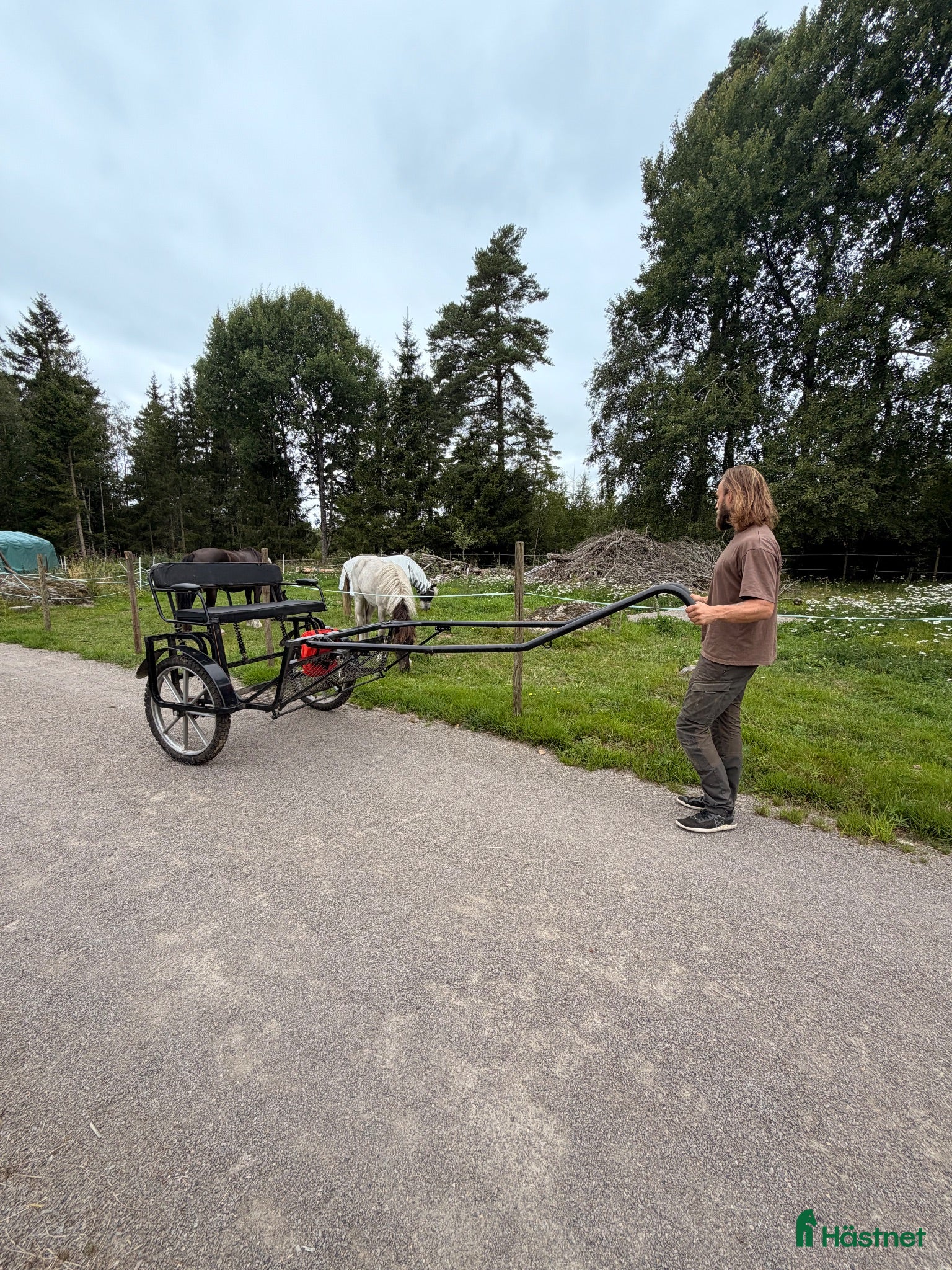 Körvagnar körning till salu: Robust hästvagn/rockard/sulky fotbroms & fjädring - Annons 2