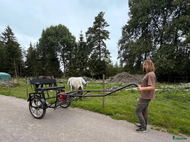 Körvagnar körning till salu: Robust hästvagn/rockard/sulky fotbroms & fjädring - Annons 2