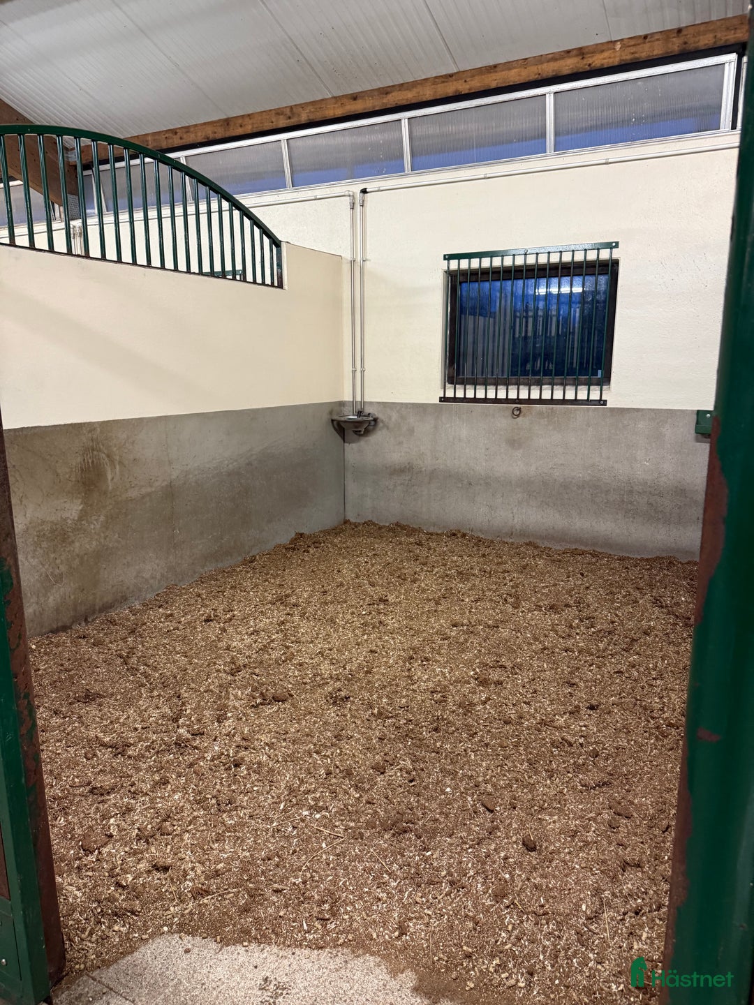  stallplats finnes: Inackorderingar till högklassig anläggning!  i Vaxholm - Annons 3