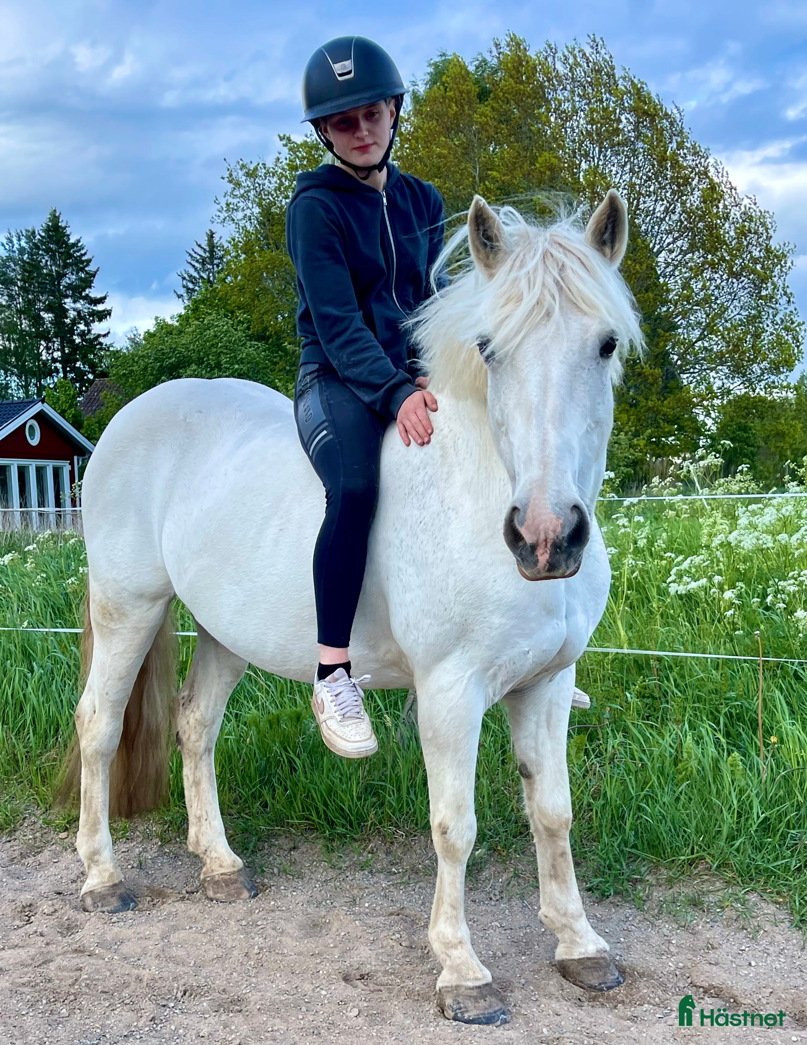  hästar Underbart snäll ponny! *reserverad* i Västerfärnebo - Annons 9