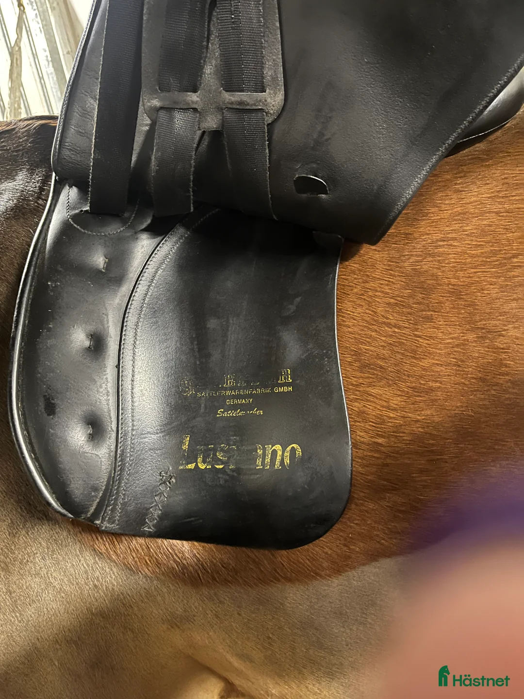 Sadlar hästutrustning till salu: Svart Kieffer Lusitano  i Öregrund - Annons 2