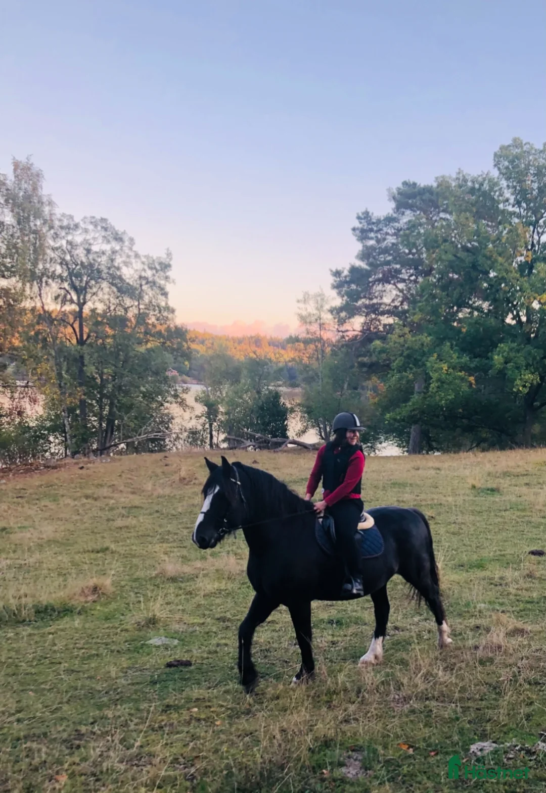  medryttarhäst sökes: Medryttare finnes i södra Stockholm i Huddinge - Annons 1